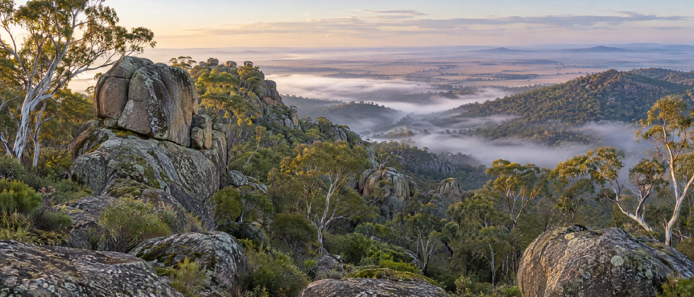 Granite tors and eucalypt woodland on the slopes of Langi Ghiran, with mist in the valley