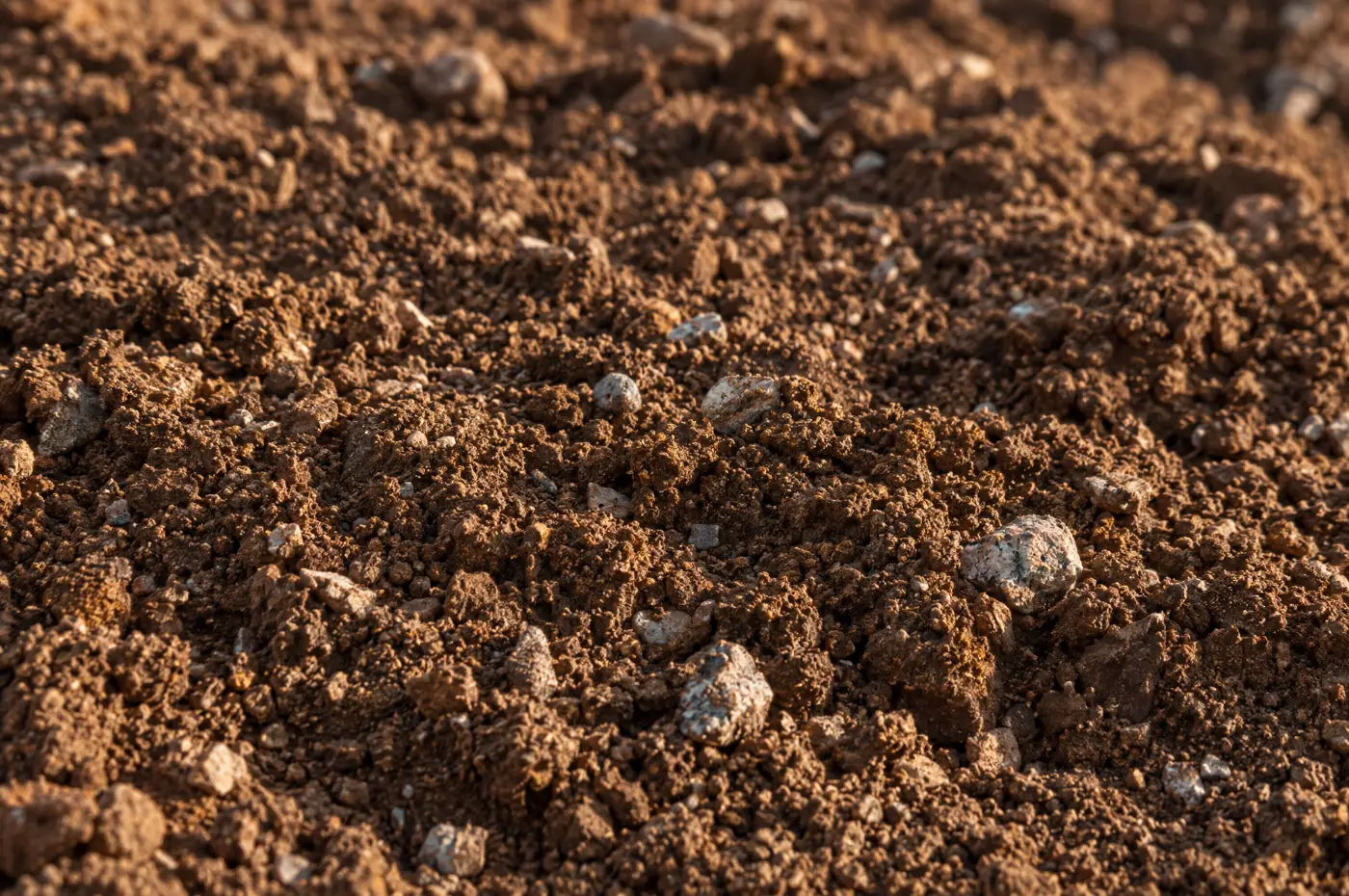 Close-up of clean brown fill soil with small granite pebbles